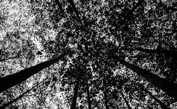 From below