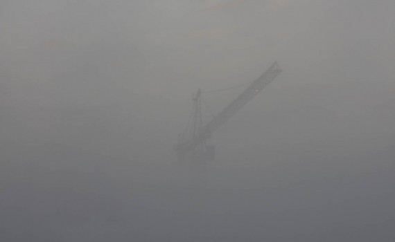 Crane in the mist