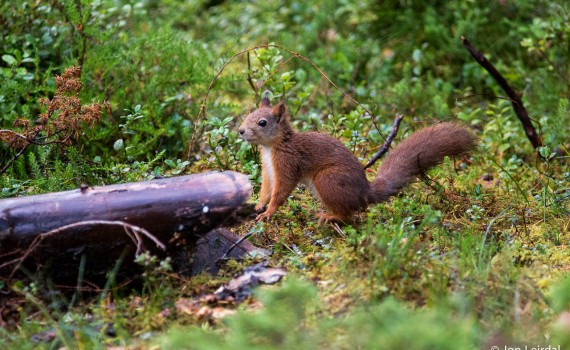 Posing for the photographer